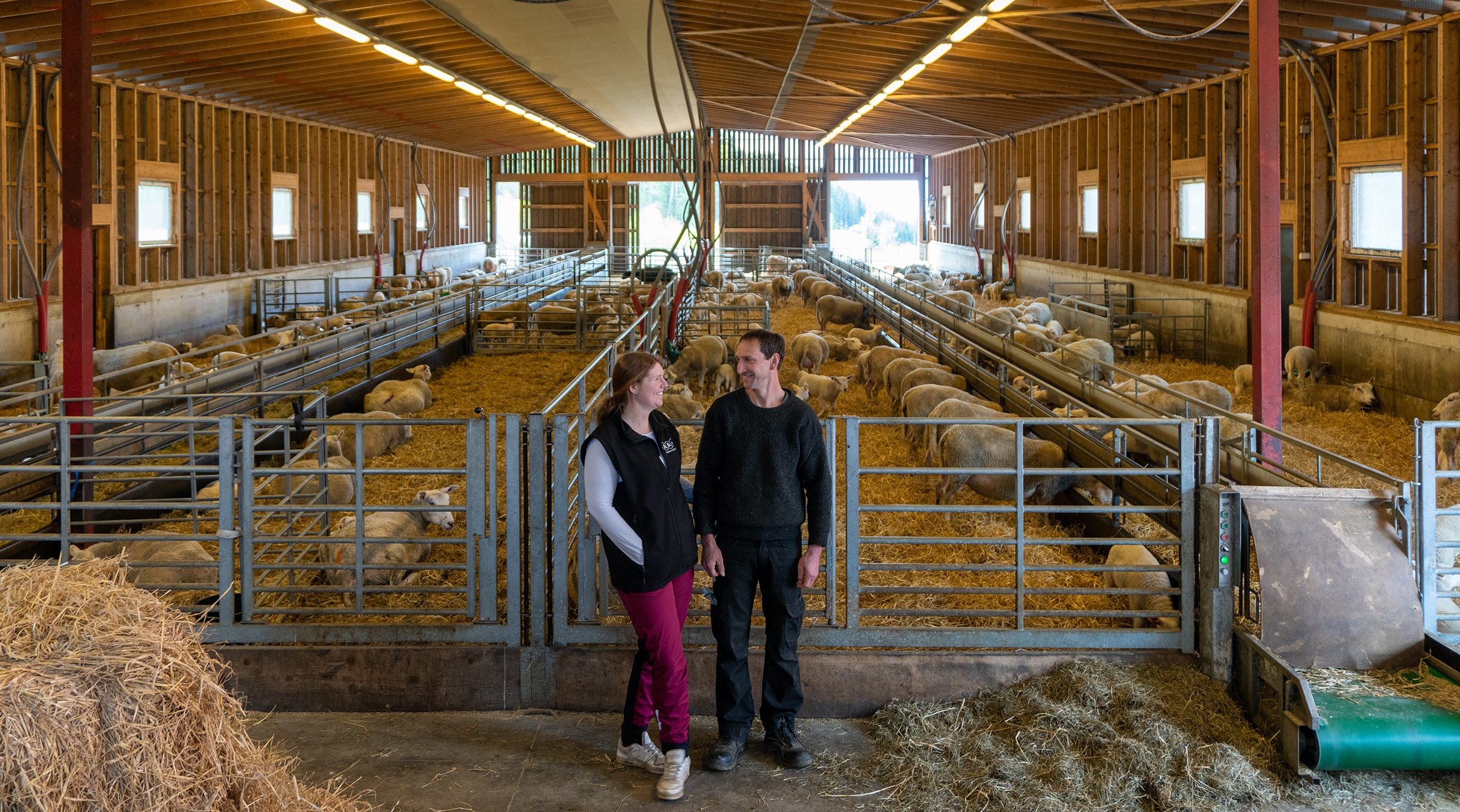 Heidi Reinprecht Akselsen og Ekke Reinprecht har bygget elementfjøs fra Talgø. Foto: Geir Wikse